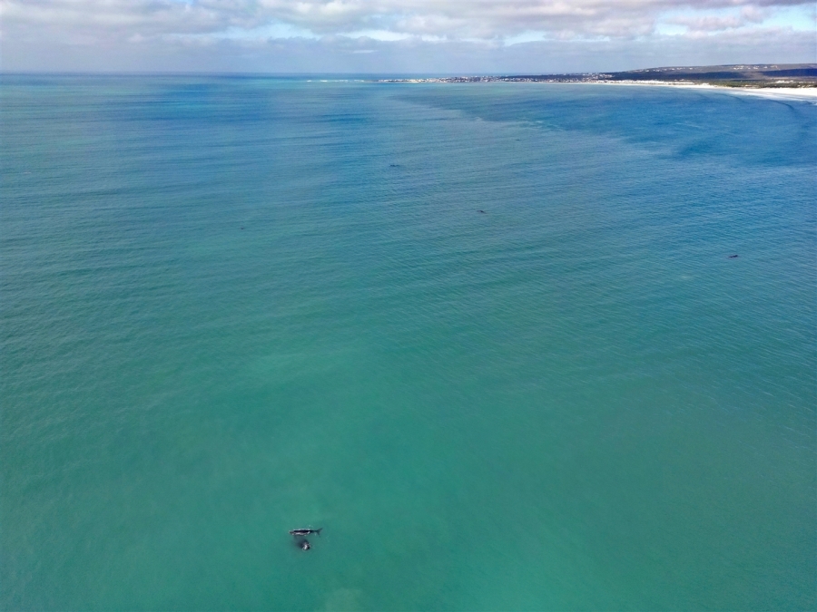 0 Bedroom Property for Sale in Struisbaai Western Cape